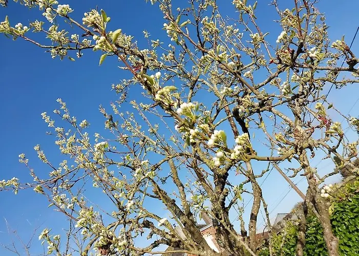 Сasa de vacaciones Escapade A La Campagne ?